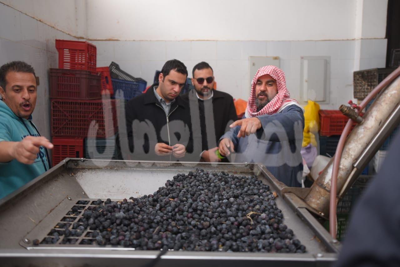 صوت الشعب يبحث تعزيز صناعة التمور والزيتون بالواحات البحرية