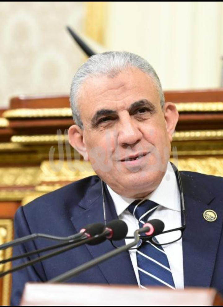 مذكرة مصر ضد إسرائيل فى محكمة العدل الدولية.. تؤكد دورها التاريخي الداعم للقضية