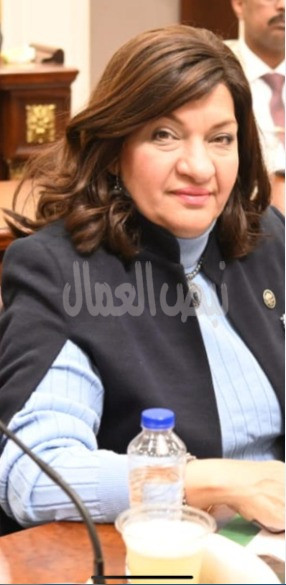 النائبة ايفلين متى:دعم مصر دعوى جنوب أفريقيا ضد إسرائيل يعكس تأييدها الكامل للقضية الفلسطينية