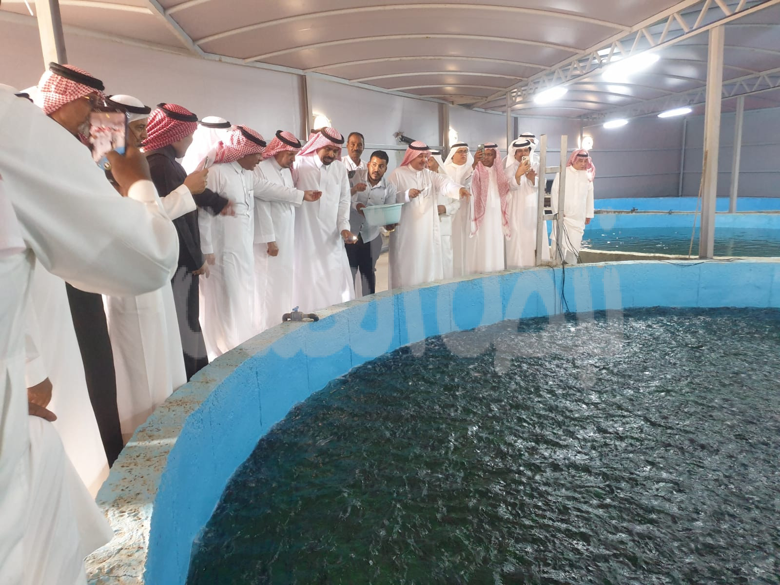 أول مزرعة أسماك سلمون بالسعودية تستضيف وفدا” من رجال أعمال جدة*