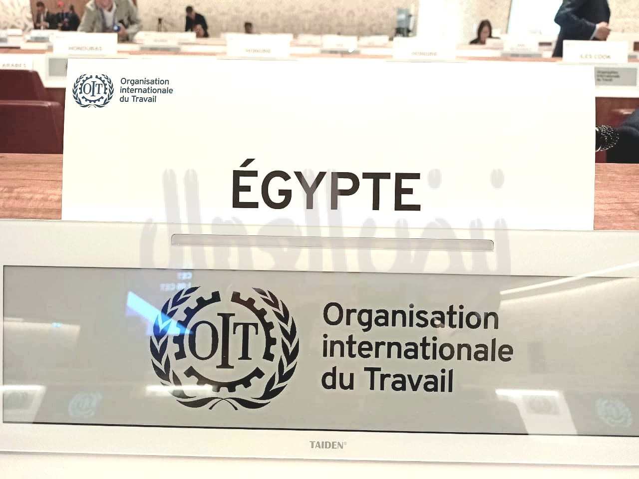 وزير العمل يُشارك في الجلسة الافتتاحية لمؤتمر العمل الدولي بجنيف..ويلقى كلمة مصر غدًا الثلاثاء