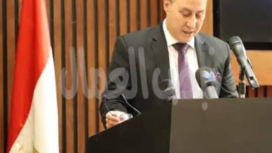 المهيرى : توجيهات الرئيس بتوطين الصناعة المحلية “طوق النجاة’ من فخ جمارك ترامب الجديدة ‘