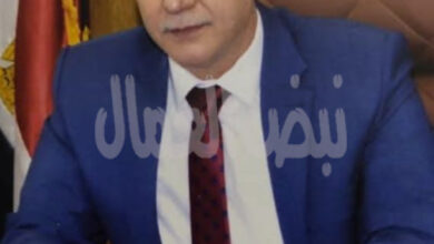 المهيرى’ : ذكرى تحرير سيناء مصدر الهام ..لقوة المصريبن