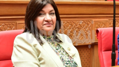 النائبة ايفلين متى تطالب بزيادة مخصصات التعليم والصحة والصناعة في الموازنة الجديدة للدولة