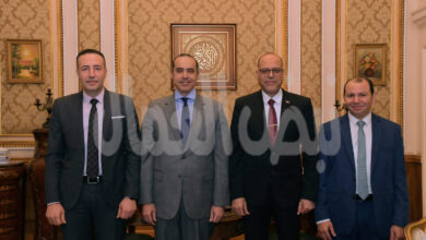 صدور قانون العمل إنجاز كبير.. وتنفيذًا لتوجيهات الرئيس السيسي .