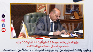 وزير العمل يعتمد صرف 297 مليونًا و445 ألفًا و500 جنيه منحة عيد العمال للعمالة غير المنتظمة..