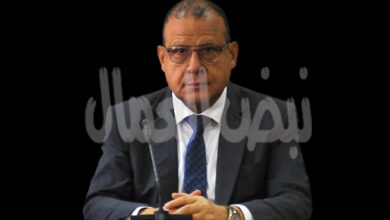 مجدي البدوي: رؤية الرئيس السيسي للتكامل الاقتصادييمثل قوة دافعة محورية لتعزيز الاستقرار الإقليمي