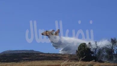 اليويان تصدر  أول أوامر إخلاء مع بدء موسم حرائق الغابات