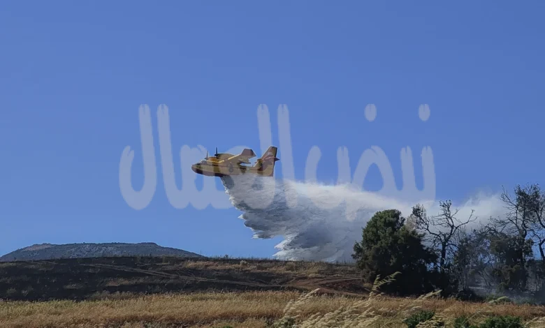 اليويان تصدر أول أوامر إخلاء مع بدء موسم حرائق الغابات اليويان تصدر أول أوامر إخلاء مع بدء موسم حرائق الغابات