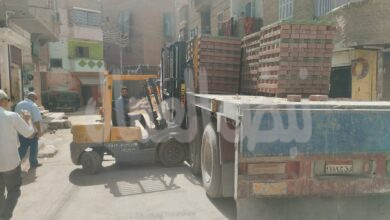  استمرار أعمال تطوير الشوارع وتركيب بلاط الإنترلوك بمركز ومدينة أبوتيج
