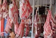 “الزراعة” تلغي إجازات الأطقم البيطرية  طوال أيام العيد