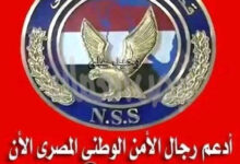 المستشار نورالدين سعد يكتب الأمن القومى هو نتاج معادلات معقدة من الردع، والشرعية