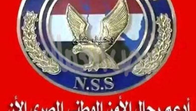 المستشار نورالدين سعد يكتب الأمن القومى هو نتاج معادلات معقدة من الردع، والشرعية