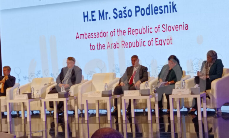 مدير مكتب منظمة العمل الدولية بالقاهرة الإحتفال باليوم العالمي لمكافحة عمل الأطفال مدير مكتب منظمة العمل الدولية بالقاهرة الإحتفال باليوم العالمي لمكافحة عمل الأطفال