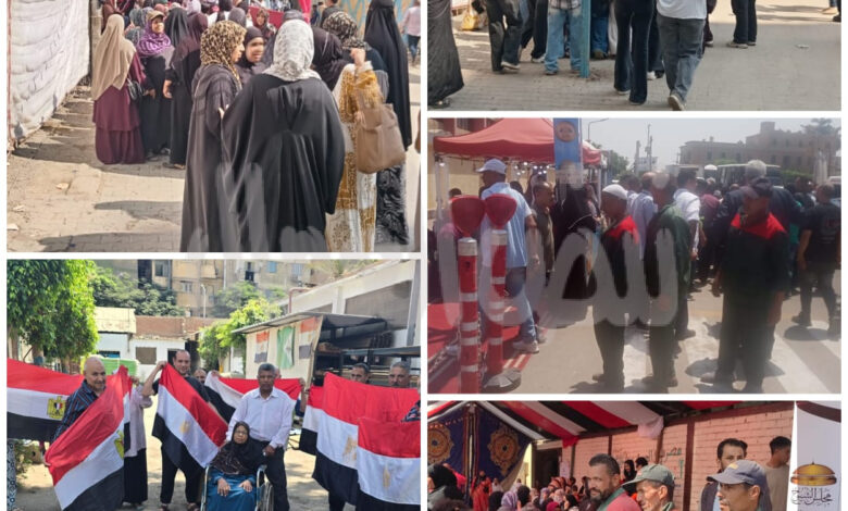 سيدات الخدمات الادارية والاجتماعية والمعاقين فى مقدمة صفوف انتخابات الشيوخ سيدات الخدمات الادارية والاجتماعية والمعاقين فى مقدمة صفوف انتخابات الشيوخ