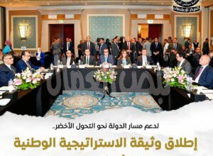 تحقيق التنمية المستدامة وتعزيز جودة الحياة في المدن المصرية