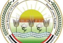 وزارة الزراعة تطلق الحملة القومية التحصين الماشية ضد الحمى القلاعية