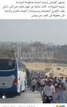 فوضئ بمنطقة أثار الهرم في ظل أنشغال مدير المنطقة بالشرح للزيارات الخاصة فوضئ بمنطقة أثار الهرم في ظل أنشغال مدير المنطقة بالشرح للزيارات الخاصة