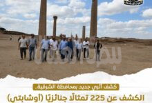 اكتشاف أثري ضخم بصان الحجر… العثور على 225 تمثالاً جنائزيًا