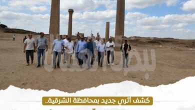 اكتشاف أثري ضخم بصان الحجر… العثور على 225 تمثالاً جنائزيًا اكتشاف أثري ضخم بصان الحجر… العثور على 225 تمثالاً جنائزيًا