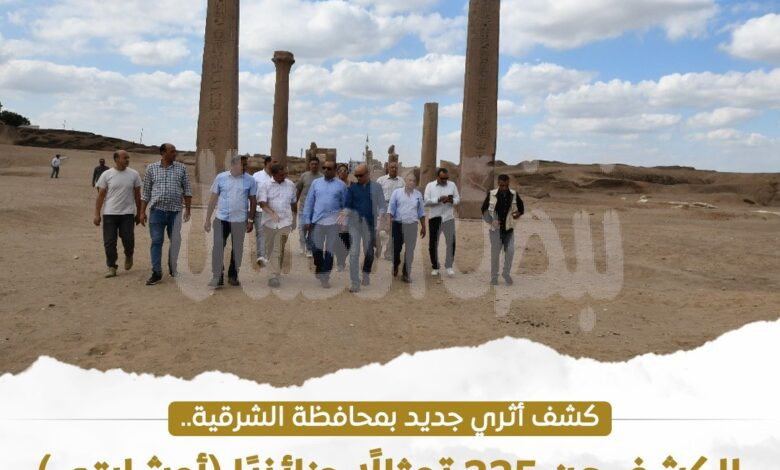 اكتشاف أثري ضخم بصان الحجر… العثور على 225 تمثالاً جنائزيًا