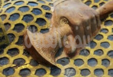 السر الذي جعل قدماء المصريين يتقنون فن حفظ الجسد؟