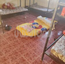 الصحة: إغلاق 4 مراكز غير مرخصة لعلاج الإدمان في أبو النمرس