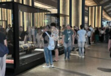 إقبال جماهيري كثيف في استقبال الجمهور بالمتحف المصري الكبير