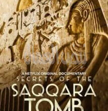 مقبرة واح تي هي اكتشاف أثري بارز في منطقة سقارة بمصر، مقبرة واح تي هي اكتشاف أثري بارز في منطقة سقارة بمصر،