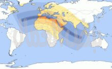 ● كسوف القرن الـ 21 ( يوم 2 أغسطس2027 ) ● 🌒🔭👁
