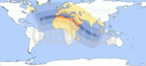 ● كسوف القرن الـ 21 ( يوم 2 أغسطس2027 ) ● 🌒🔭👁 ● كسوف القرن الـ 21 ( يوم 2 أغسطس2027 ) ● 🌒🔭👁
