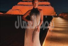 المجلس الأعلى لتنظيم الحفلات والافراح المجلس الأعلى للاثار سابقا