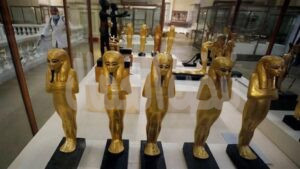 نداء للسيد الرئيس عبدالفتاح السيسي أثار مصر تحت قبضة المافيا التي لا تنتهي!!!