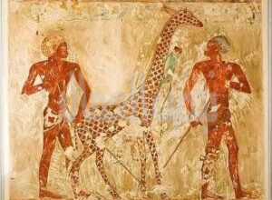 Giraffes in Ancient Egypt Giraffes in Ancient Egypt
