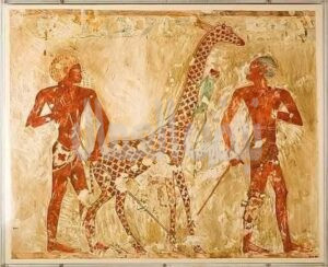 Giraffes in Ancient Egypt Giraffes in Ancient Egypt