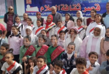 الكرداوي : اطلاق مبادرة “الجيل الرقمي” بثقافة القاهرة ،