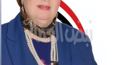 الوطنية للانتخابات تستجيب لتظلم شادية ثابت وتبطل انتخابات النواب بدائرة إمبابة الوطنية للانتخابات تستجيب لتظلم شادية ثابت وتبطل انتخابات النواب بدائرة إمبابة