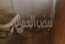 معالي الأمين العام محمدأسماعيل خالد المجلس الأعلى للاثار رحته وحشه!!!