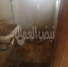 معالي الأمين العام محمدأسماعيل خالد المجلس الأعلى للاثار رحته وحشه!!!