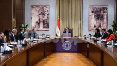 رئيس الوزراء يُتابع الموقف التنفيذي لمشروعات الطاقة الجديدة والمتجددة