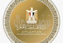 عام استثنائي من النجاحات الانتخابية الدولية للدبلوماسية المصرية