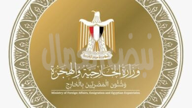 عام استثنائي من النجاحات الانتخابية الدولية للدبلوماسية المصرية عام استثنائي من النجاحات الانتخابية الدولية للدبلوماسية المصرية