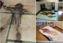 ظاهرة تسمى بكودوكوشي kodokushi بكوكب اليابان