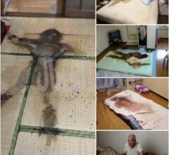 ظاهرة تسمى بكودوكوشي kodokushi بكوكب اليابان