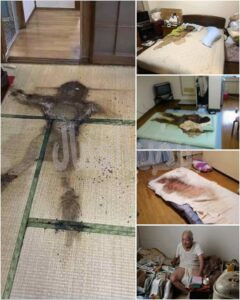 ظاهرة تسمى بكودوكوشي kodokushi بكوكب اليابان ظاهرة تسمى بكودوكوشي kodokushi بكوكب اليابان