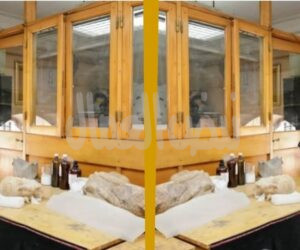 المجلس الأعلى للاثار يستخدم معامل ترميم المتحف المصري بالتحرير لتزوير القطع الأثرية!!! المجلس الأعلى للاثار يستخدم معامل ترميم المتحف المصري بالتحرير لتزوير القطع الأثرية!!!