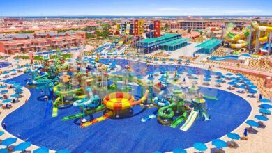 نيفرلاند تستعد لعيدها الثالث…مفاجآت غير مسبوقة تعيد تشكيل خريطة السياحة الترفيهية نيفرلاند تستعد لعيدها الثالث…مفاجآت غير مسبوقة تعيد تشكيل خريطة السياحة الترفيهية