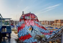 ظهور «الكينج كوبرا» كحارس لأكبر مدينة العاب ترفيهية بالغردقة يجذب الأنظار