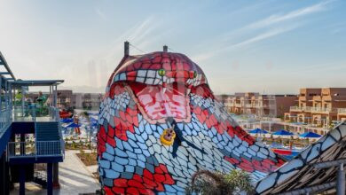 ظهور «الكينج كوبرا» كحارس لأكبر مدينة العاب ترفيهية بالغردقة يجذب الأنظار