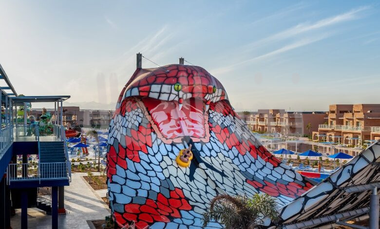 ظهور «الكينج كوبرا» كحارس لأكبر مدينة العاب ترفيهية بالغردقة يجذب الأنظار ظهور «الكينج كوبرا» كحارس لأكبر مدينة العاب ترفيهية بالغردقة يجذب الأنظار